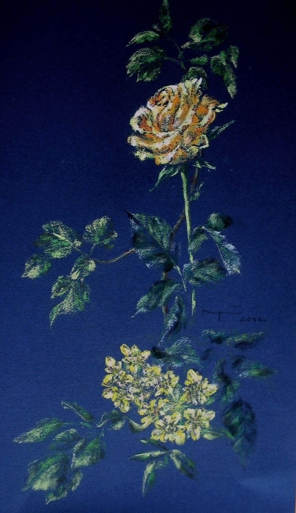 Rhabsody in blue