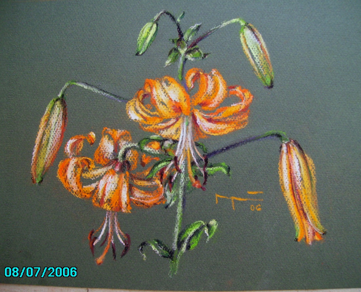 Pomerančová (29 x 21 cm)