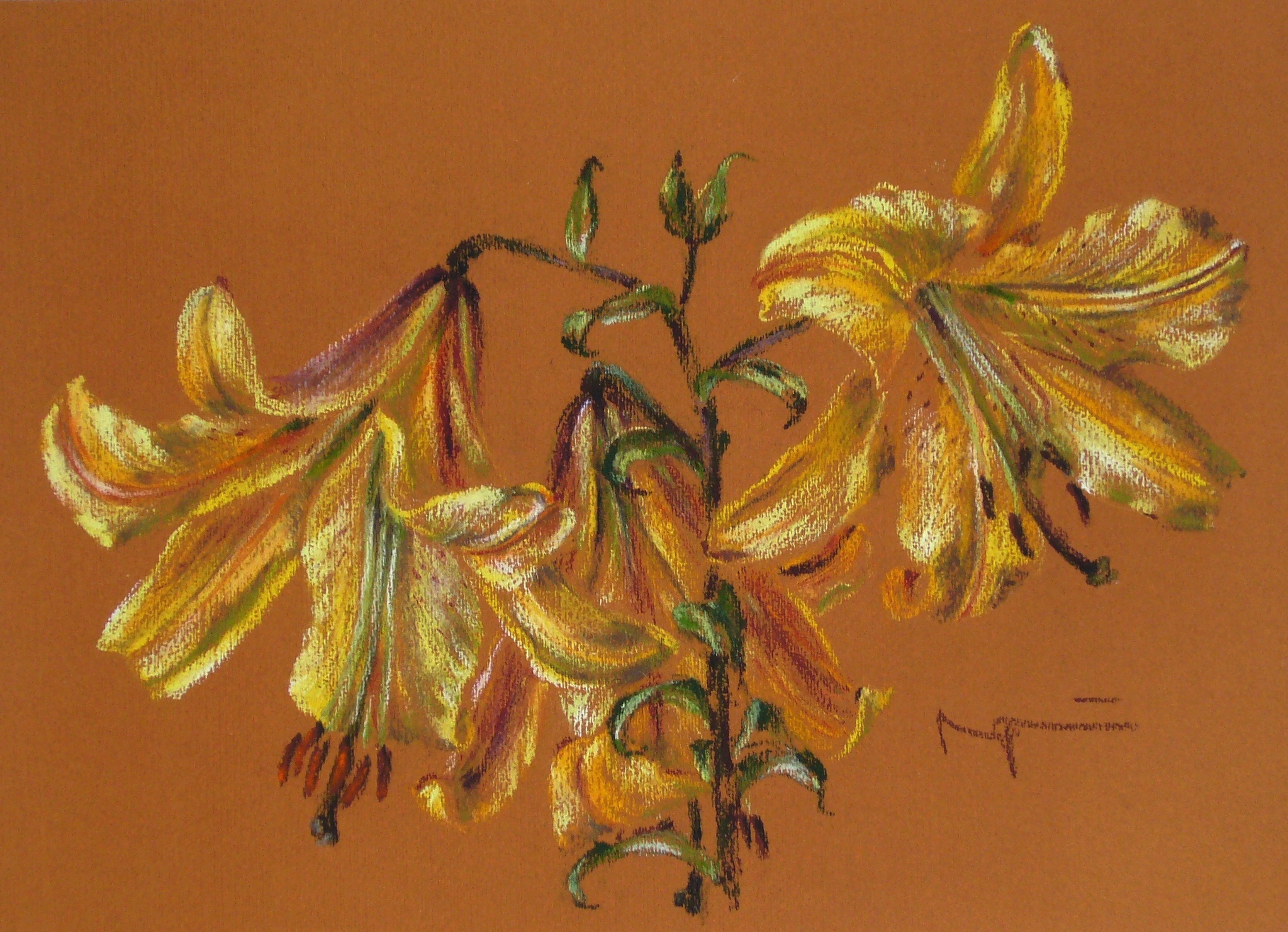 Voňaví obři (35 x 25 cm)